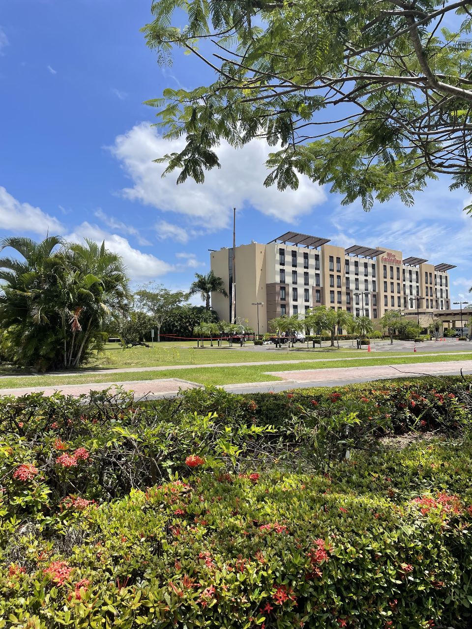 Hotel Hilton Aeropuerto, eficiencia energética por EcoWatt